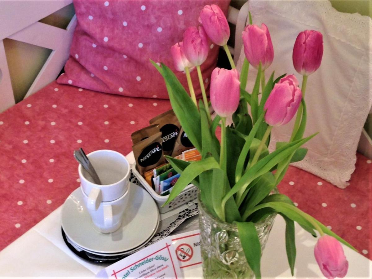 Hotel Schneider-Goessl Wina Bagian luar foto